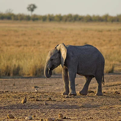 Clash安卓一键配置全攻略：解锁自由网络的高效指南