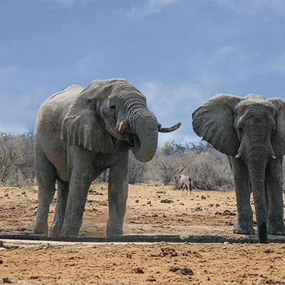 4月16日|20.4M/S，Clash节点/Shadowrocket节点/SSR节点/V2ray节点|免费订阅机场BifrostV免费梯子